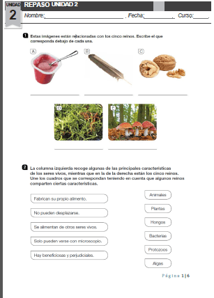 ACTIVIDADES REPASO UNIDAD 2 CIENCIAS NATURALES 4º PRIMARIA SM.