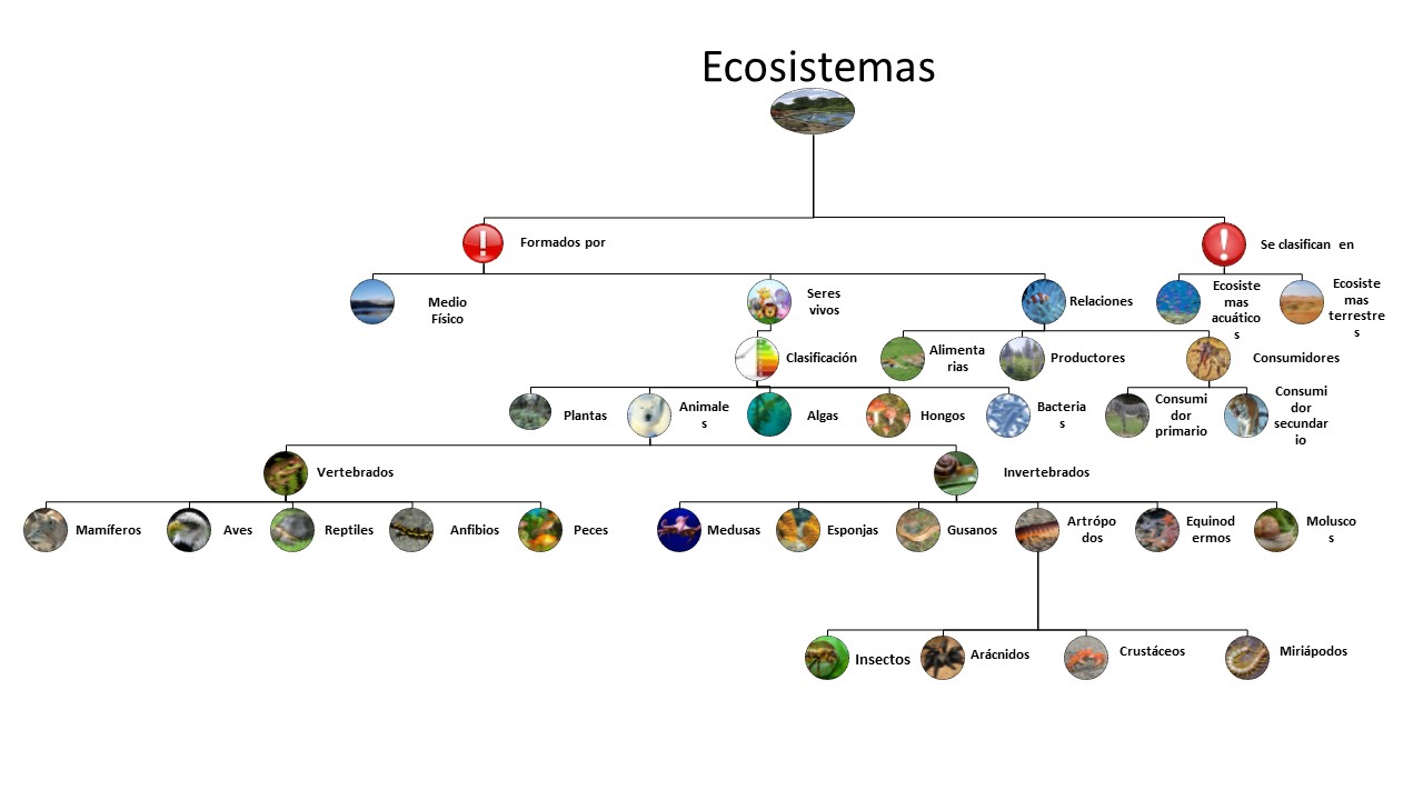 ESQUEMA ECOSISTEMAS