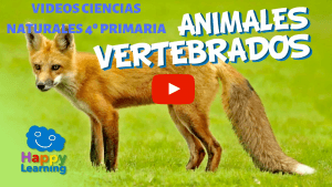 CIENCIAS NATURALES 4º PRIMARIA. VIDEOS