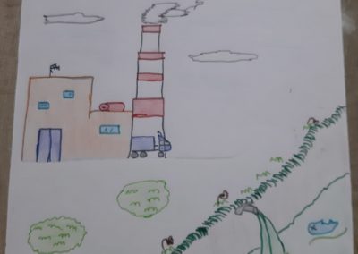 Trabajos Ecoescuela 3º Primaria