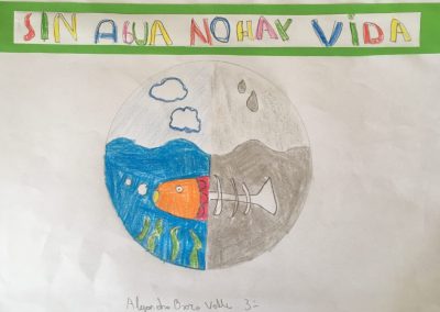 Trabajos Ecoescuela 3º Primaria