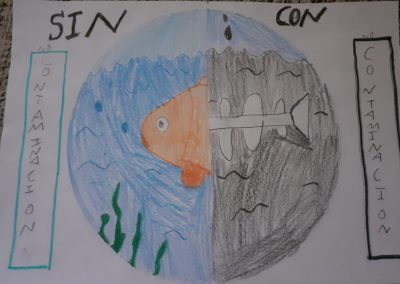 Trabajos Ecoescuela 3º Primaria